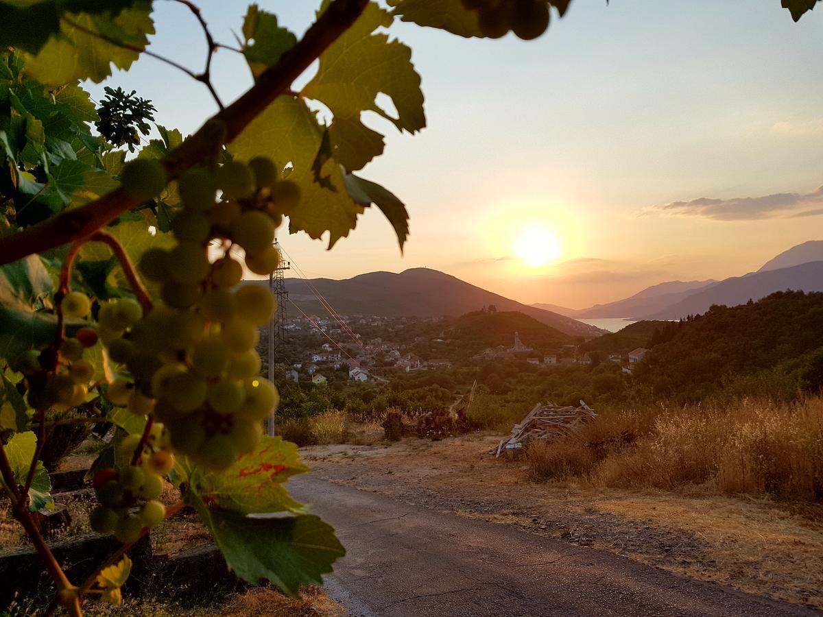 Villa Rolla Tivat Luaran gambar